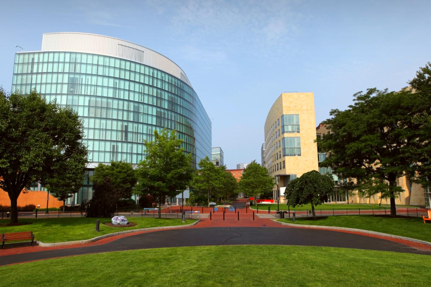 NORTHEASTERN UNIVERSIY - #4 trong bảng xếp hạng các trường đại học kinh doanh tốt nhất nước Mỹ (theo Forbes)