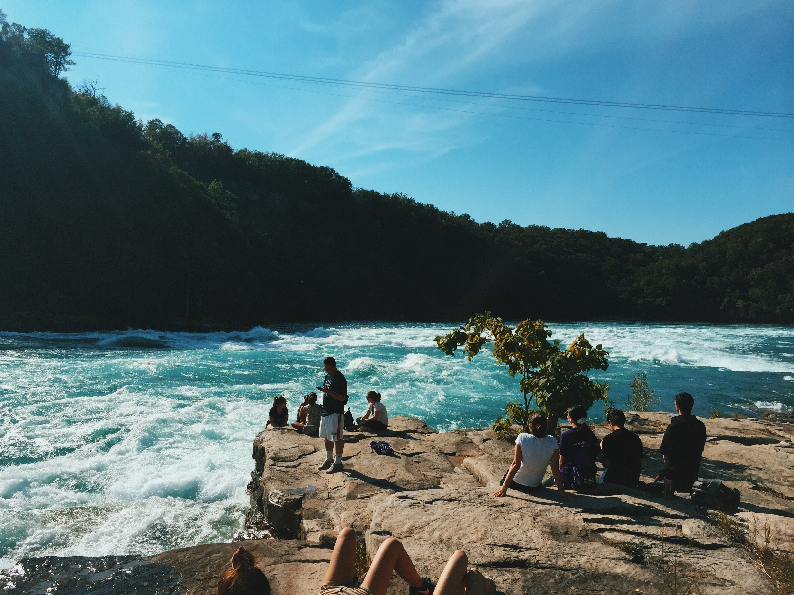 Cùng làm quen với những đại diện siêu ngầu