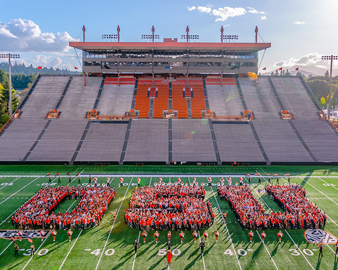 Không thể bỏ lỡ OPT khi du học Mỹ - Chia sẻ từ du học sinh Mỹ Bùi Việt Anh