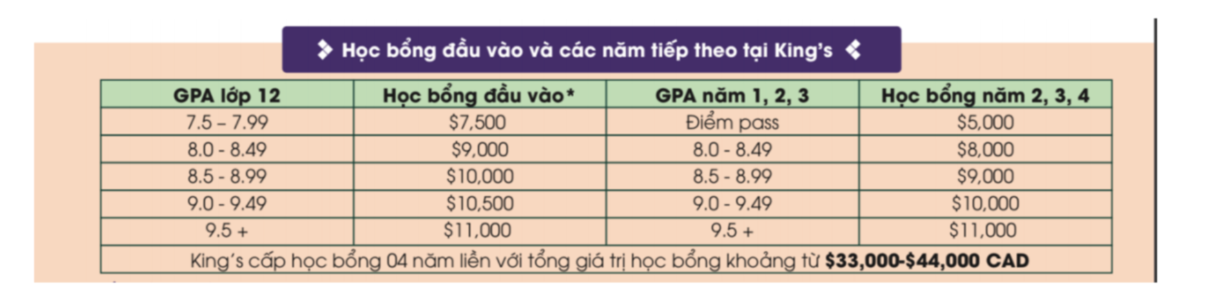 Trường xịn - Học bổng to - Không lo đầu ra